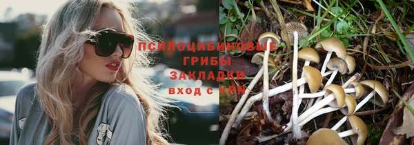 а пвп мука Нягань