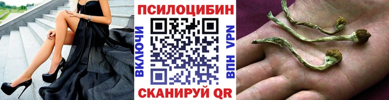 цена   Новочеркасск  Галлюциногенные грибы GOLDEN TEACHER 