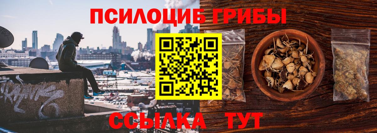 Новочеркасск  Псилоцибиновые грибы прущие грибы  Галлюциногенные грибы Psilocybine cubensis  Вход с VPN 