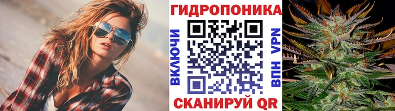 kraken как войти  Новочеркасск  Бошки Шишки планчик 